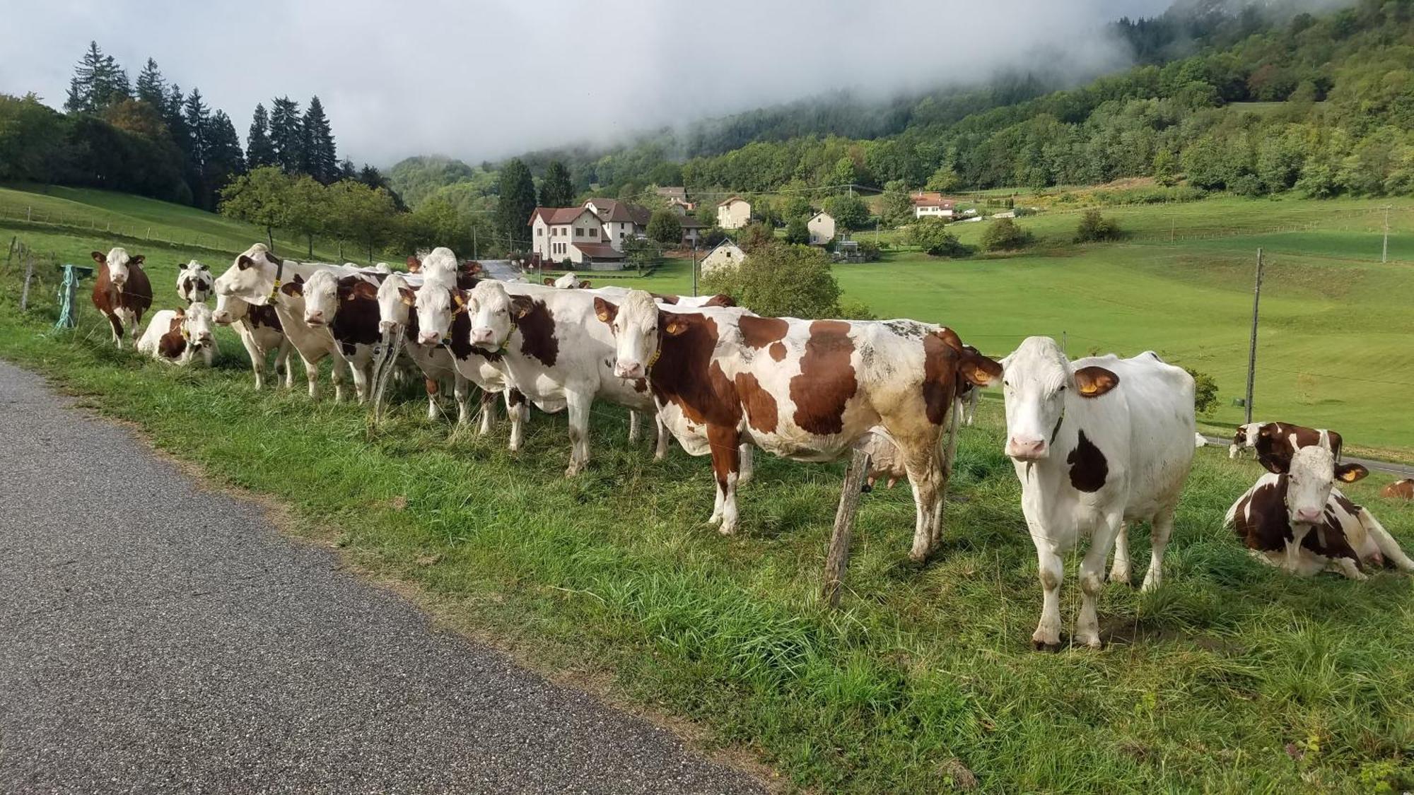 Un Pied Devant L'Autre Sainte-Marie-D'Alvey Kültér fotó